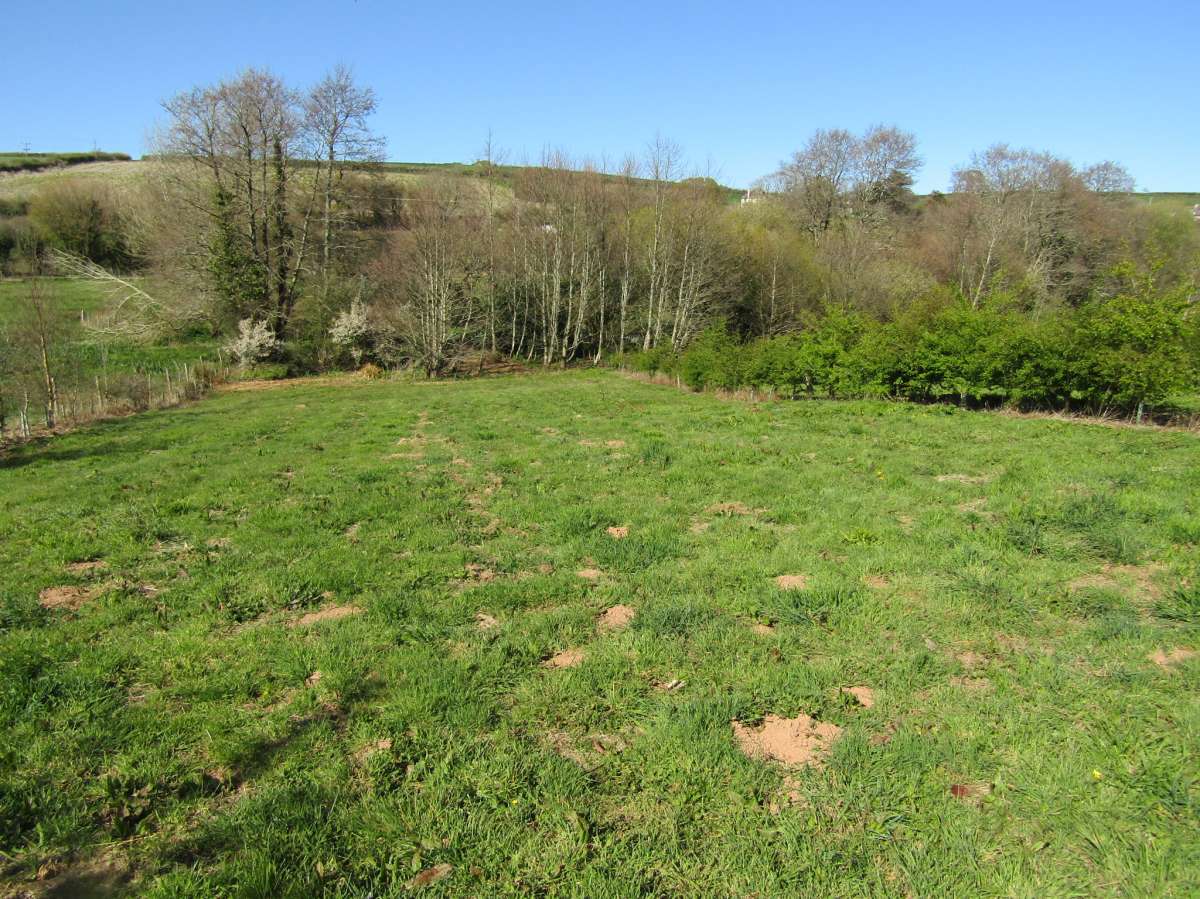 Land in Kingsbridge