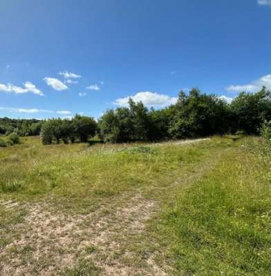 Other in Kingswinford - photo 4