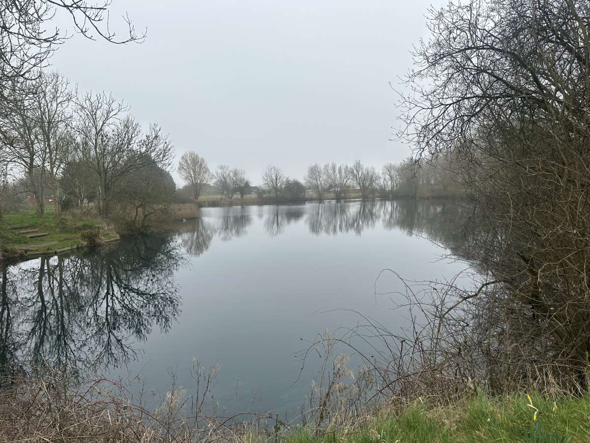 Other in Emmotland
